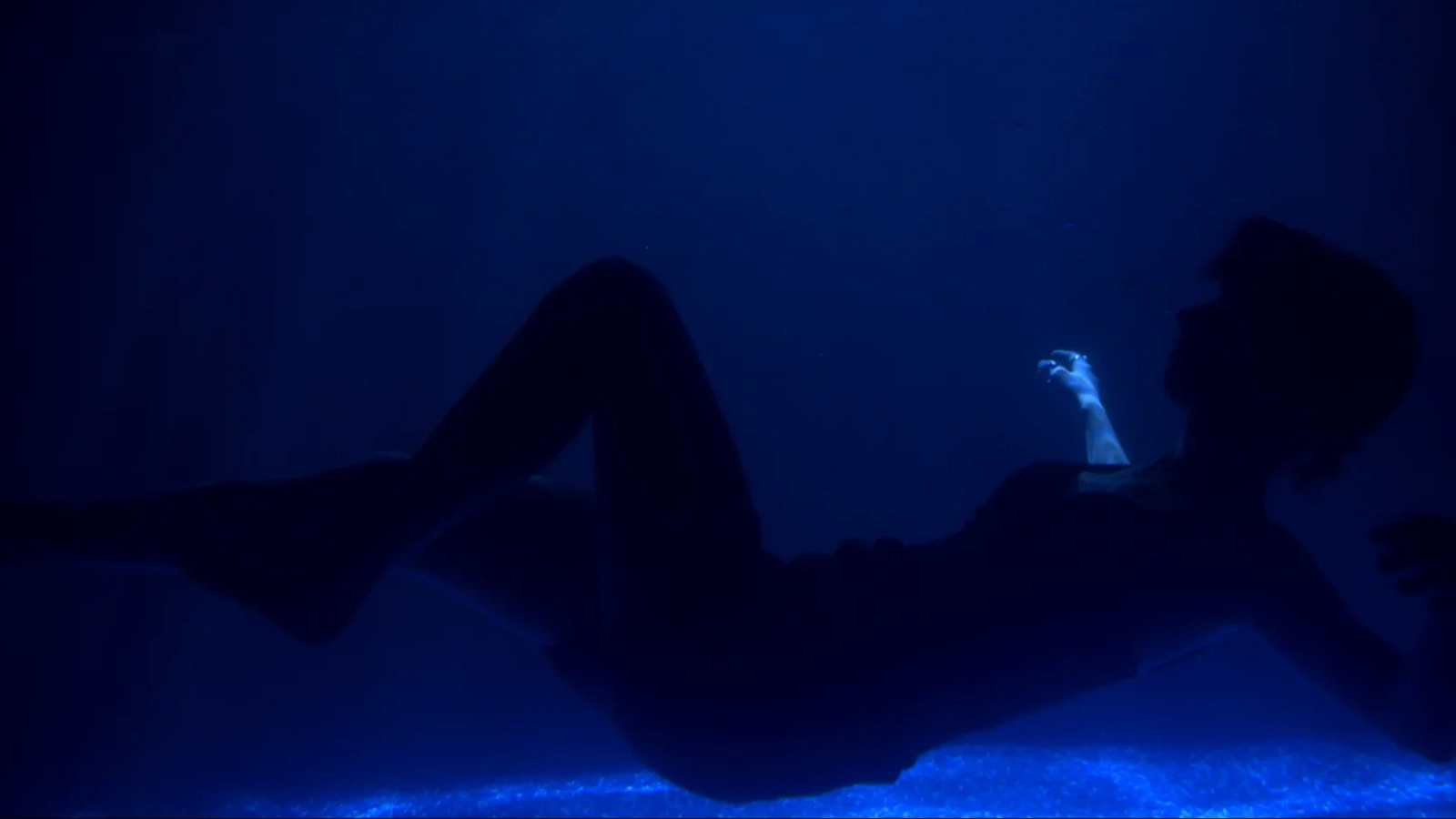 Still from Night At The Apollo