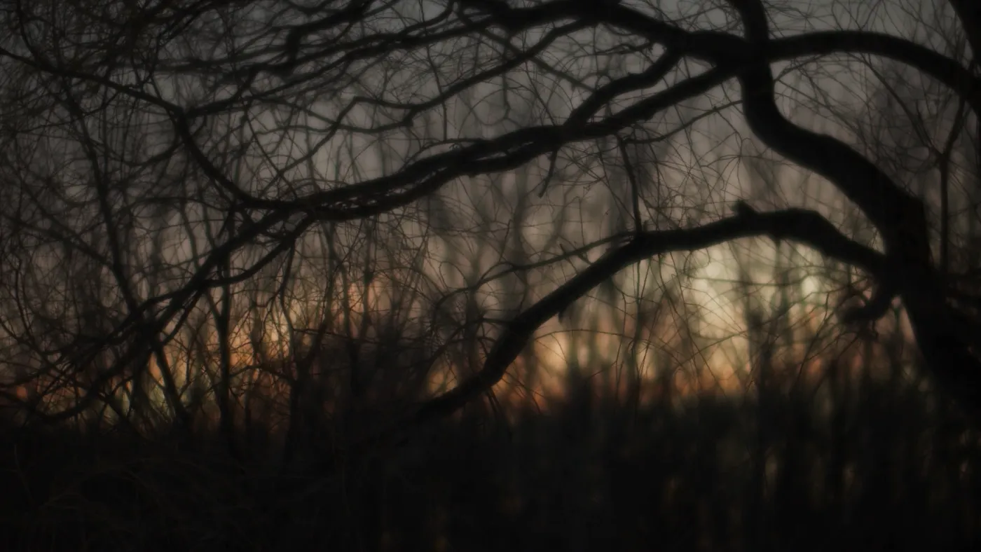 Cinematography still