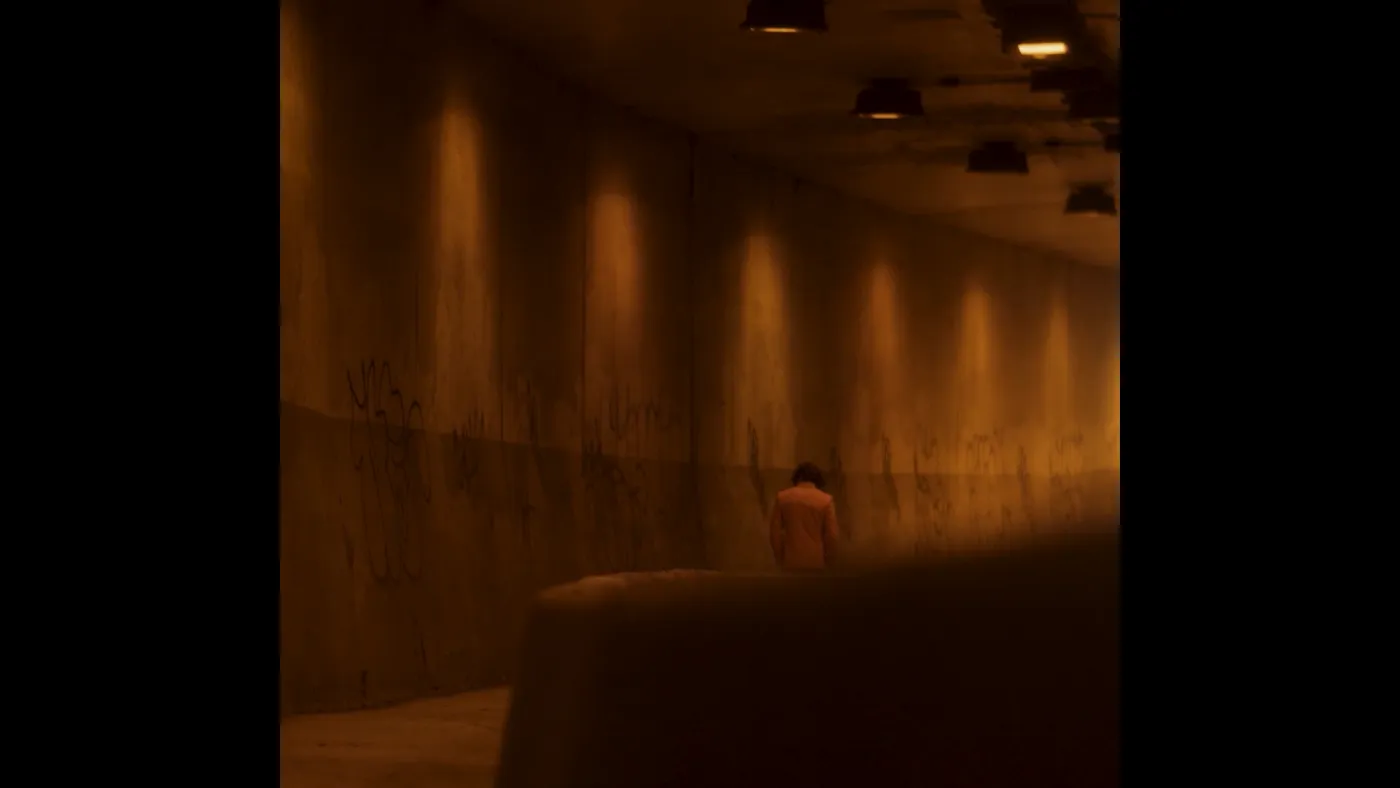 Cinematography still