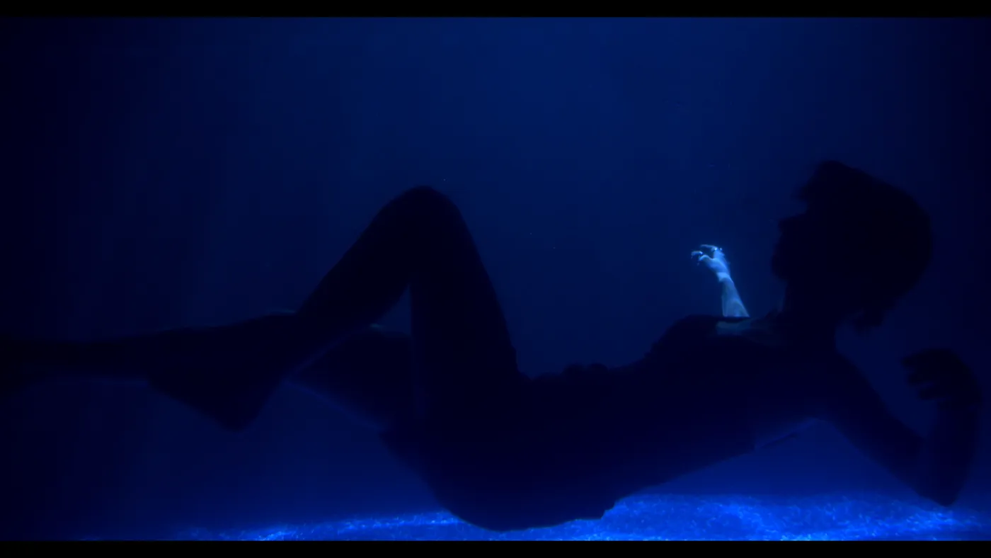 Still from Night At The Apollo